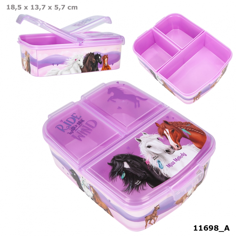 Miss Melody Lunch Box