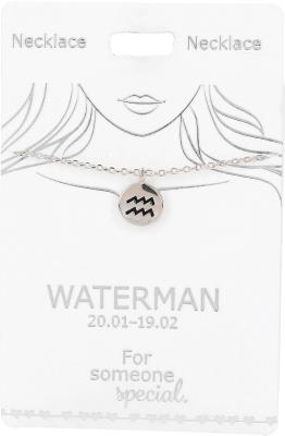 Waterman silber