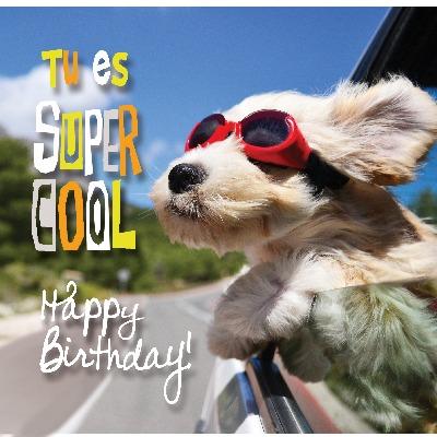 Tu es SUPER COOL - Happy Birthday!