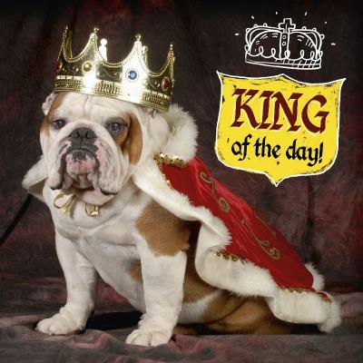 King of the day!
